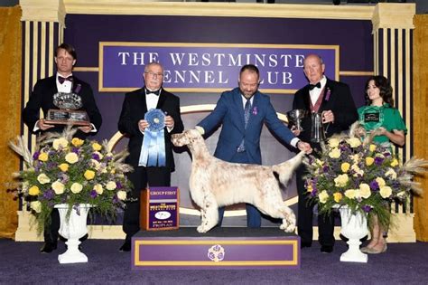 <strong>Championship Shows in 2022</strong>. . Kennel club championship show dates 2024